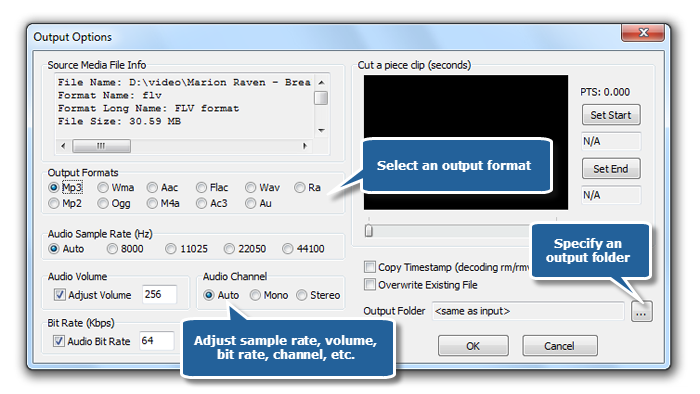 Output Settings