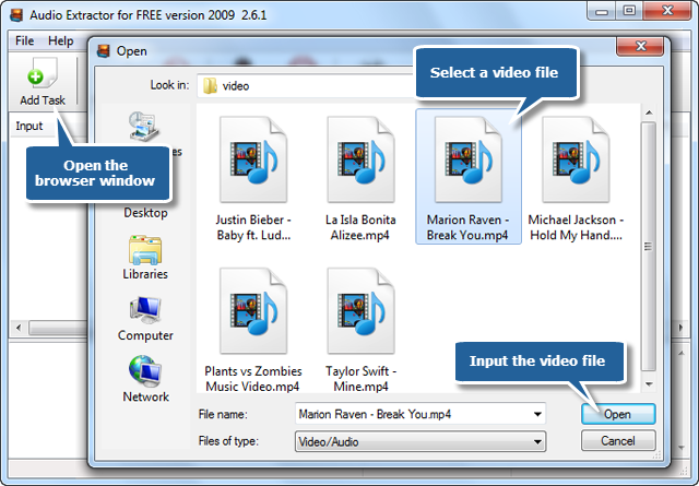 Input Video Files